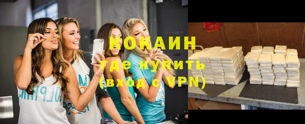 шишки Инсар