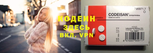 шишки Инсар