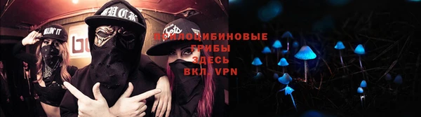 шишки Инсар