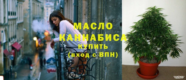 шишки Инсар