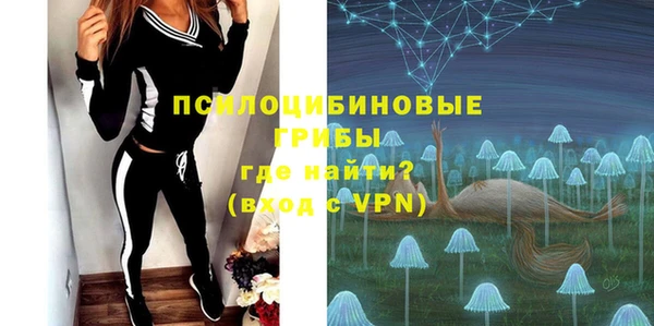шишки Инсар