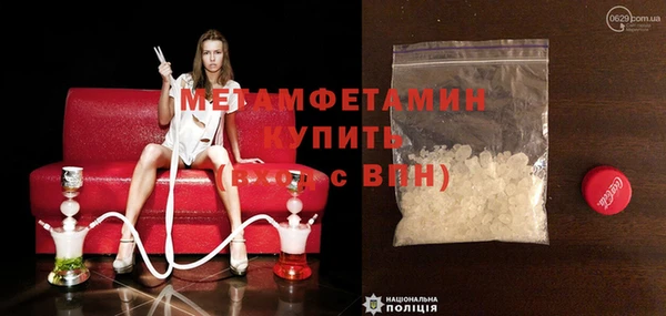 шишки Инсар