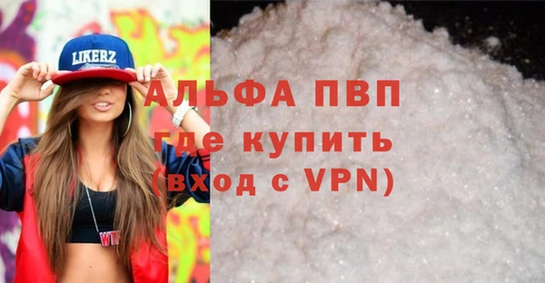 шишки Инсар
