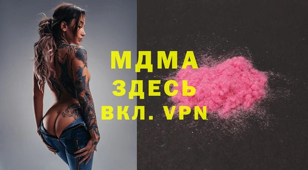 шишки Инсар